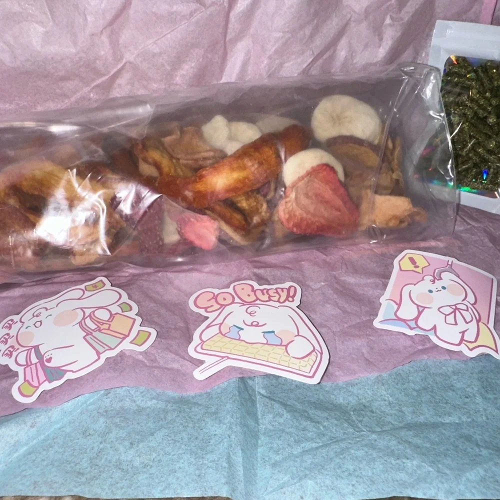 Bunny rabbit *large* treat and toy box (very last one)